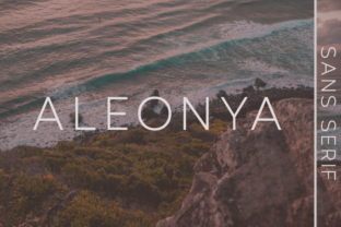 Aleonya: The Modern Sans Serif Typeface for Digital Brands