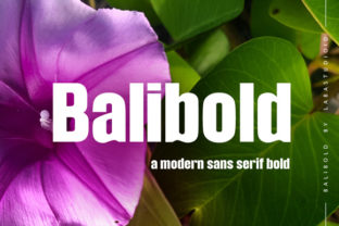 Balibold: The Bold Sans Serif Font for Crafters