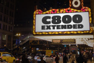 C800 Extended: The Bold Sans Serif for Clear Campaigns