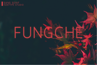 Fungche: A Modern Sans Serif Font for Digital Design
