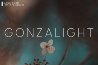 Gonzalight: A Clean Sans Serif Typeface for Bold Headlines