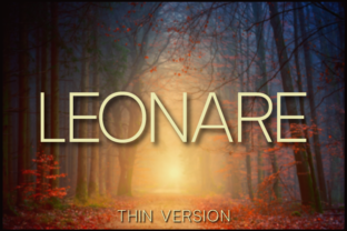 Leonare Thin Typeface for Clean Business Branding