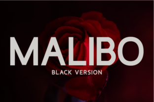 Malibo Black Typeface for Bold Digital Branding