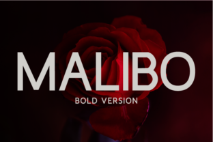 Malibo Bold Typeface for Makers