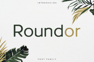Roundor: A Modern Sans Serif Font for Editorial Design